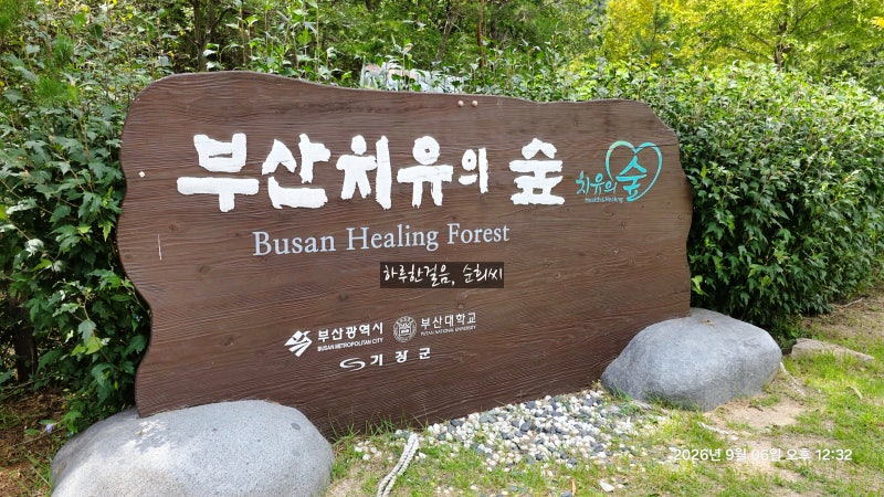 가을바람 따라 다녀온 부산 기장 치유의 숲