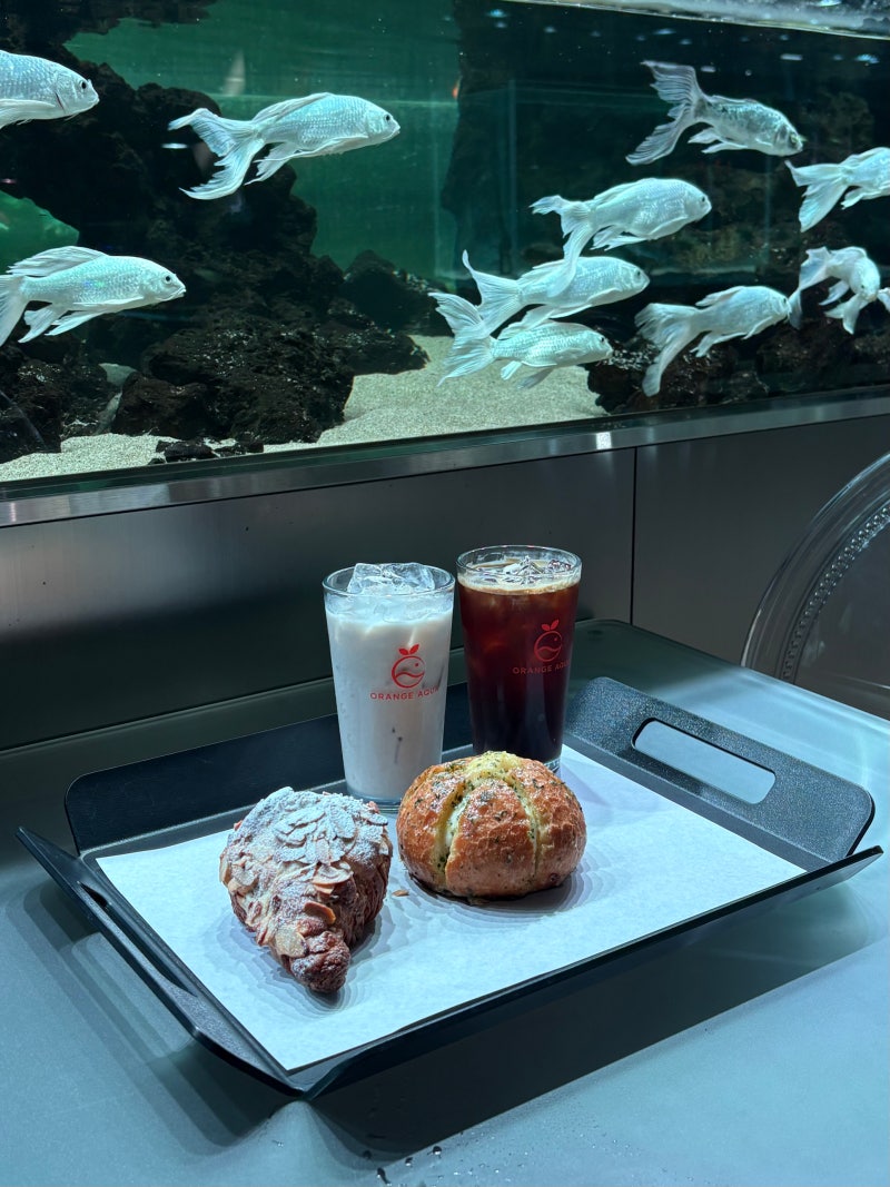 일산 베이커리 카페 오렌지아쿠아 물멍 수족관 아쿠아리움 카페