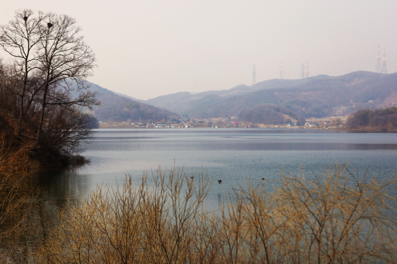 경기도 여행지 추천 안성 고삼호수 고삼저수지