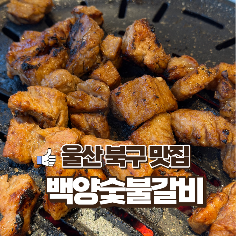 [울산 매곡 백양숯불갈비]3,300원 진짜 가성비일까?주차,웨이팅,단체 후기