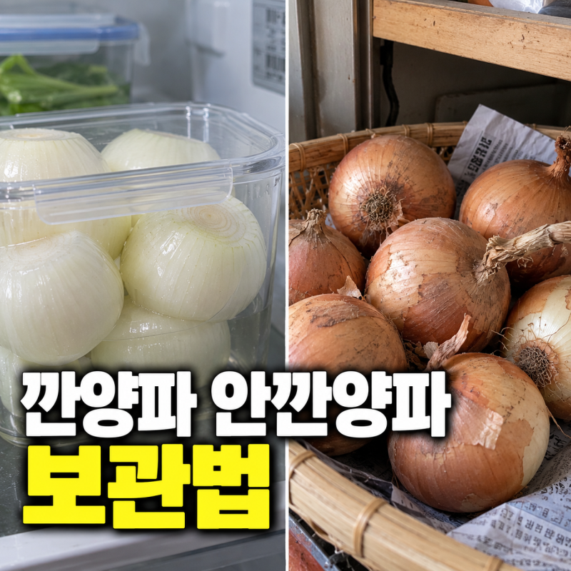 깐양파 안깐양파 보관법 실온 냉장 냉동 뭐가 맞을까?