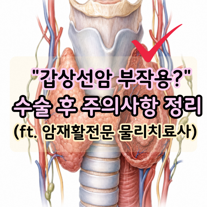 "갑상선암 수술 후 부작용 5가지" 회복 기간은 얼마나 걸릴까요? (ft.암재활 전문물리치료사)