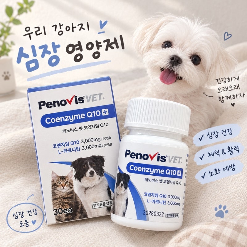 강아지 심장 영양제 활력제 •페노비스•타우린 코엔자임Q10•