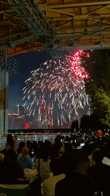 2026년 서울 불꽃축제 이촌한강공원 명당 후기