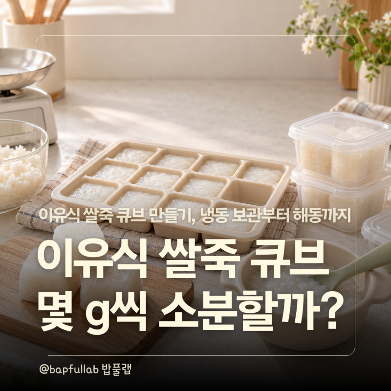 이유식 쌀죽 큐브 만들기, 몇 g씩 소분할까? 냉동·해동까지 정리