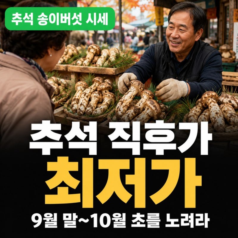 송이버섯 국산 vs 수입산 시세 차이, 추석 구입·등급 기준 총정리