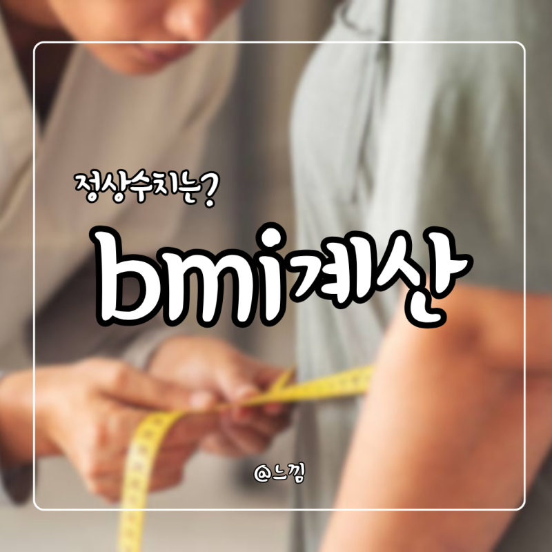 bmi 계산하기 여자남자 bmi 정상 지수 계산법