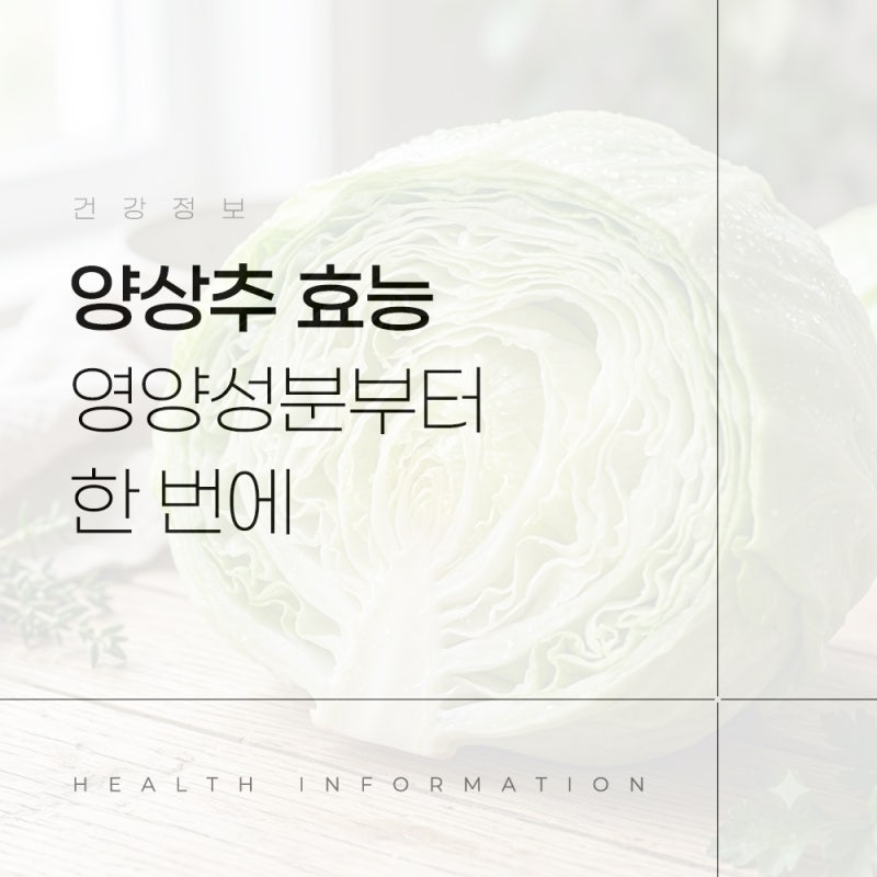 양상추 효능 영양성분부터 보관법 부작용까지 한 번에 정리