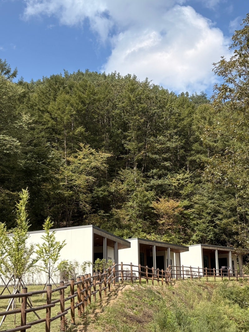 [금산여행] 가성비 신상 숙소 추천 국립금산자연휴양림 숲속의집 떡갈나무 솔직후기 및 예약....
