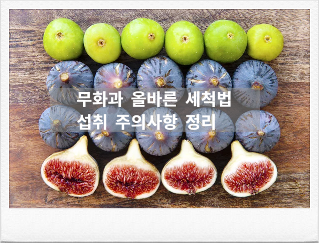 가을엔 무화과, 올바른 세척법부터 이런 사람은 무화과 주의하세요!