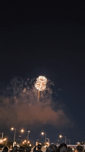 2026 서울세계불꽃축제 노량진 축구장 관람 후기, 자리잡기 꿀팁(돗자리 대신 다이소 피크닉....