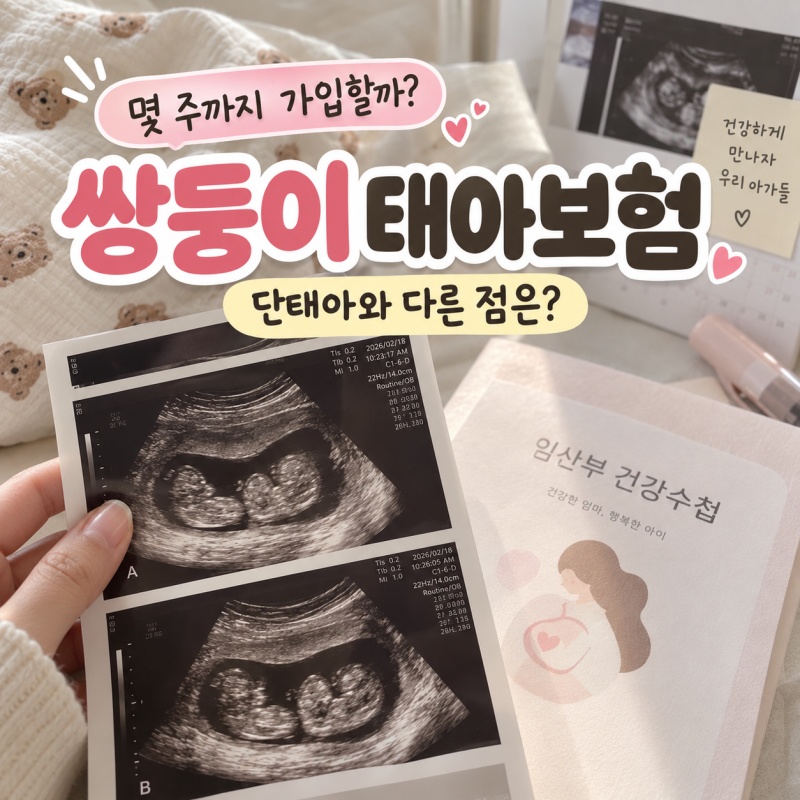 쌍둥이태아보험｜몇 주까지 가입할까 단태아보다 까다로운 이유