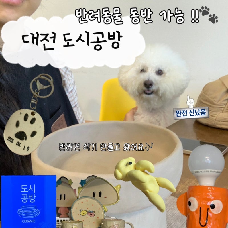 대전 도자기 공방 반려견 동반으로 [도시공방]에서 반려견 식기 만들고 왔어요❤️