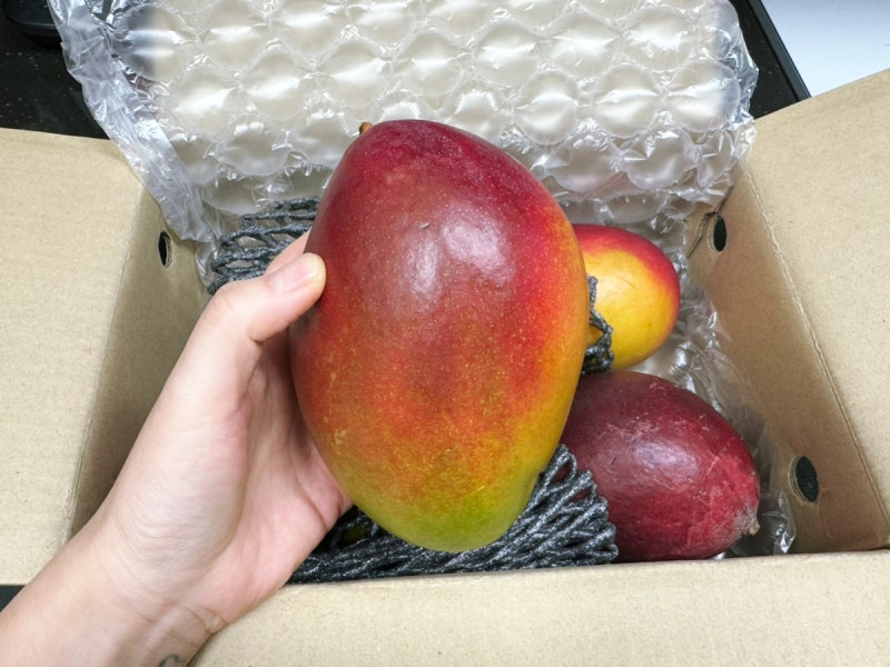 카톡 선물받은 당도폭발 수플린 애플망고 후기 +후숙법, 알러지