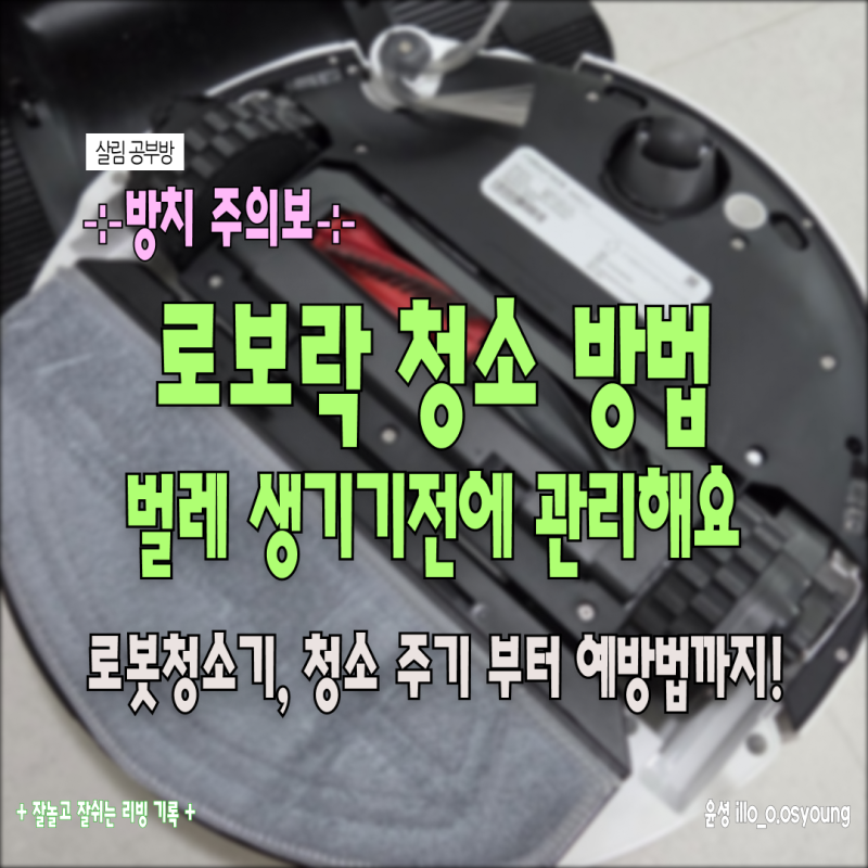 로봇청소기 권연벌레 생겨요? 로보락 청소 방법 및 주기부터 권연벌레 예방법까지