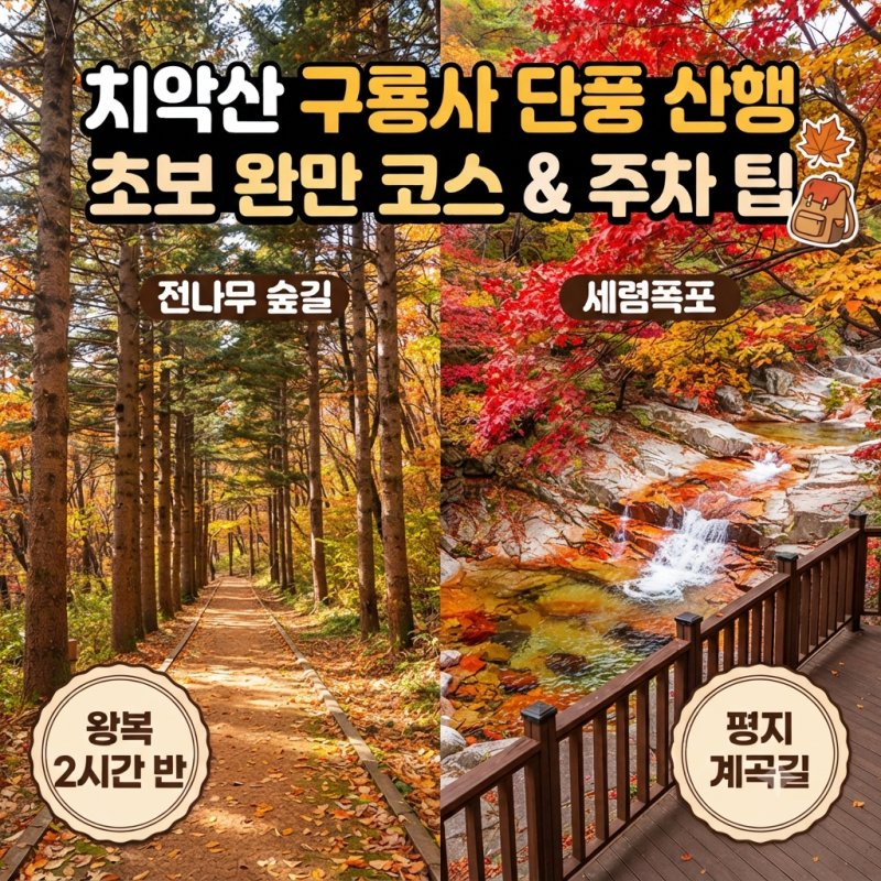 가을 단풍 산행 추천! 원주 치악산 구룡사 초보 완만 코스 및 주차장 총정리