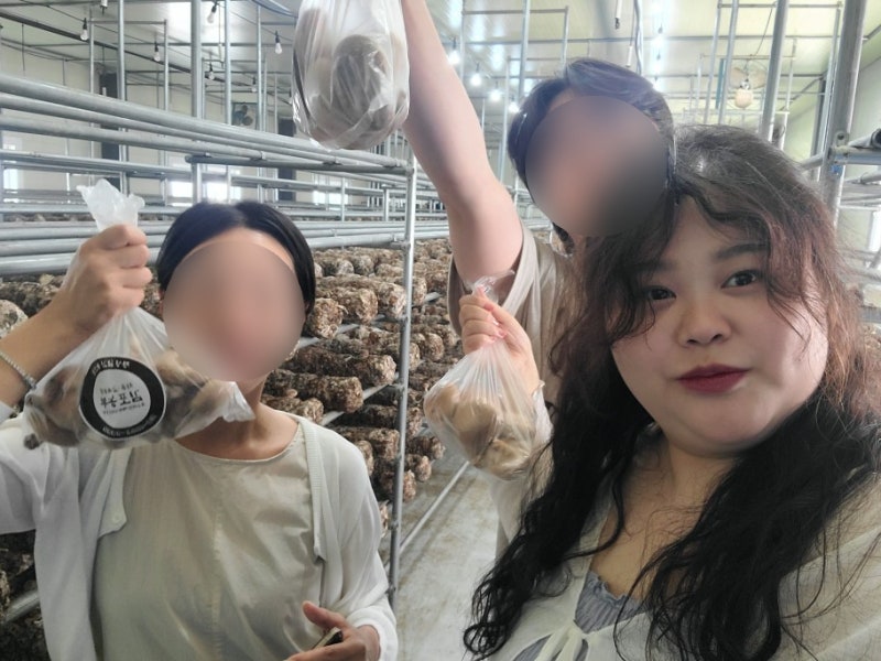김포농부 표고버섯따기 체험 후기｜김포농촌관광투어패스