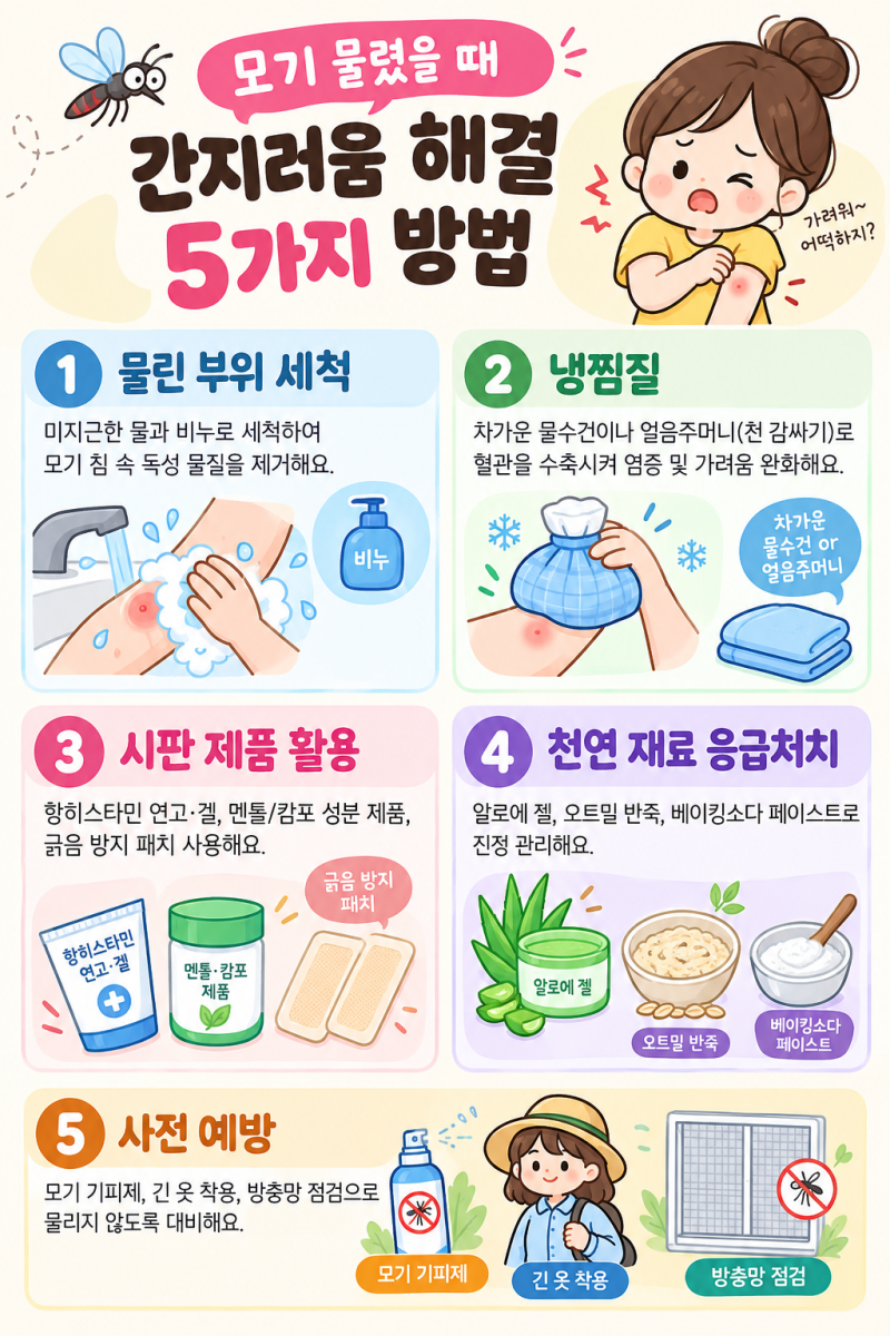 모기 물렸을 때 미친 듯 가렵다면? 긁기 전에 해보세요! 간지러움 해결법 5가지