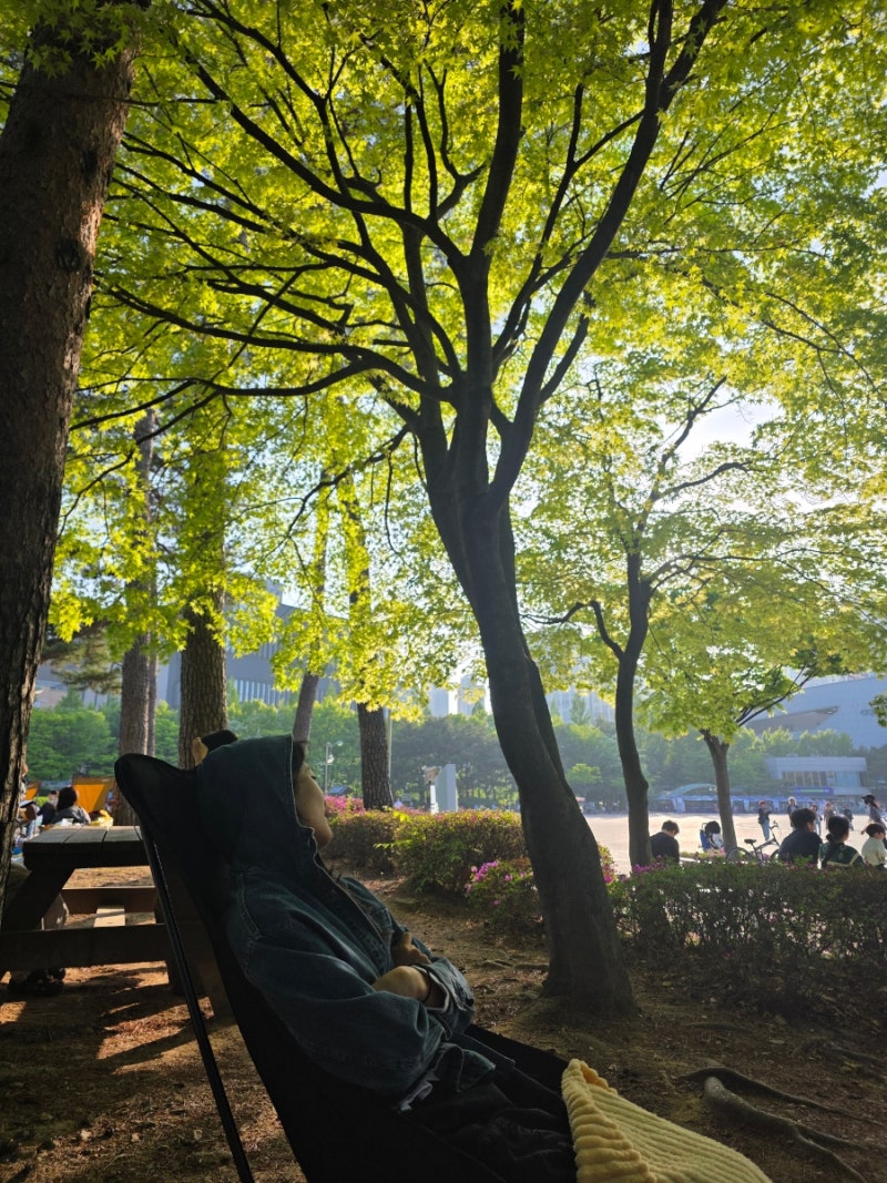 일산 [호수공원] 피크닉 / 2n년차 일산인이 추천하는 늦여름~가을피크닉 / 포폴로피자 이용 & ....