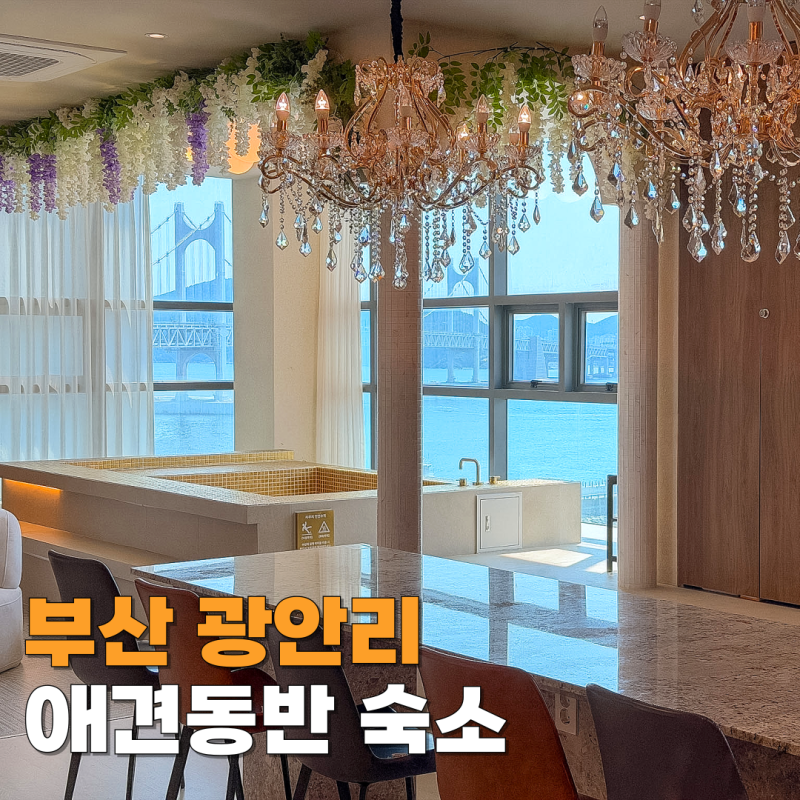 부산 숙소 추천 애견동반 자쿠지 감성 광안리 하루스위트광안
