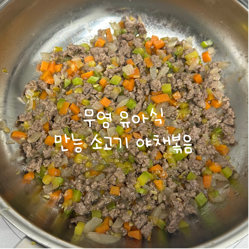 [유아식 반찬] 아기 무염 유아식 만능 소고기야채볶음 | 프레벨롱 배도라지