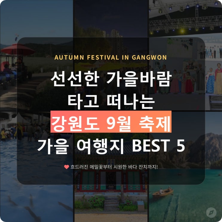 강원도에서 9월 추천 축제 가볼만한곳 & 실패없는 가을 여행지 베스....