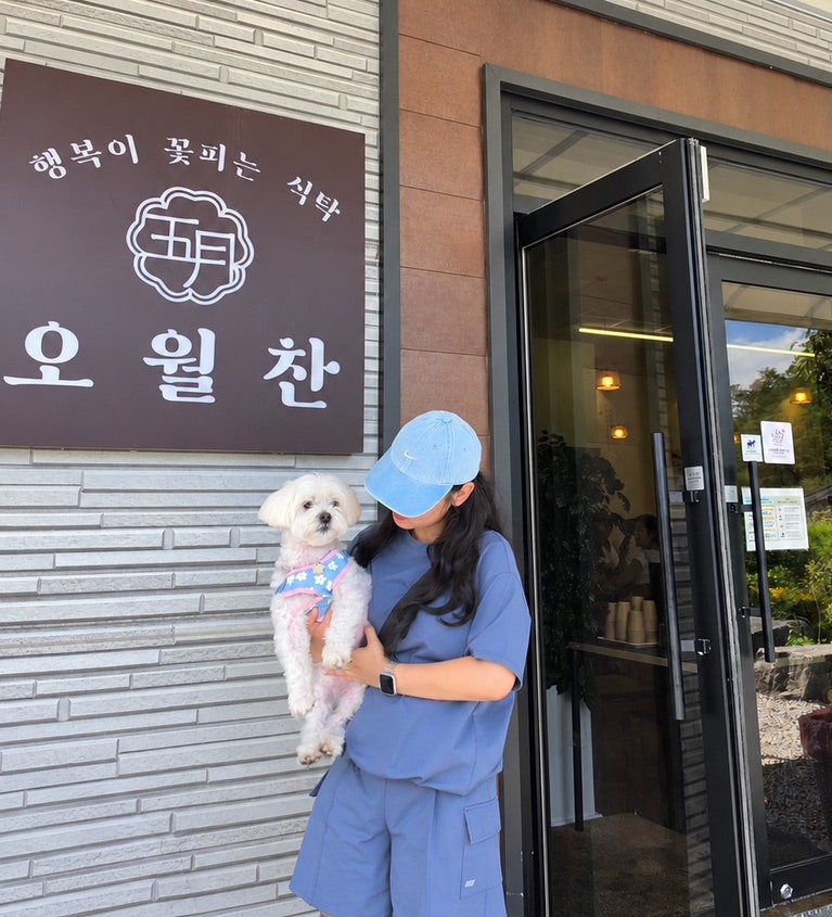 [대전 애견동반 식당] 오월드 근처 한식 맛집 오월찬