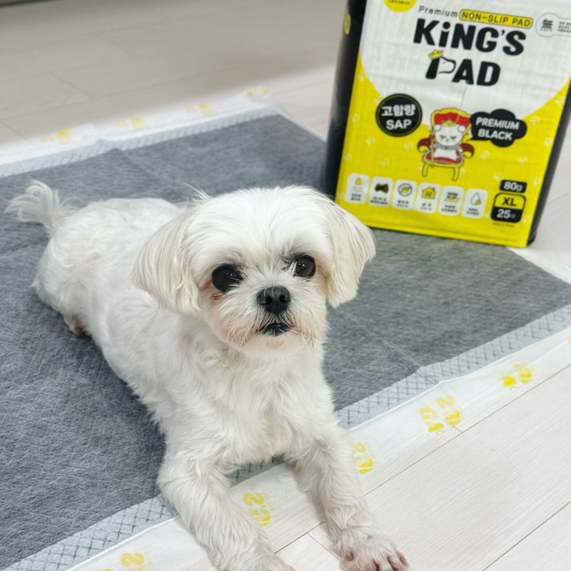 강아지배변패드 추천 킹스패드 프리미엄블랙 XL