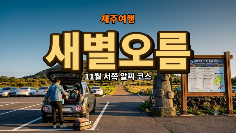 11월 제주도 가볼만한곳… 새별오름 말고 어디 더 가볼까요?
