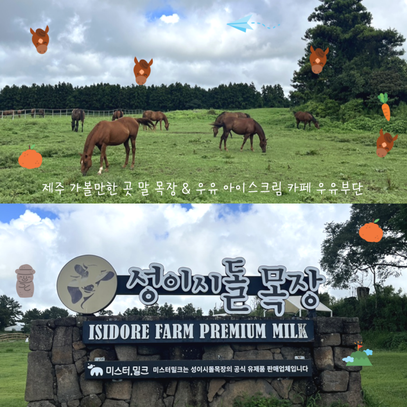제주 가볼만한 곳 성이시돌목장 우유부단 카페 아이스크림