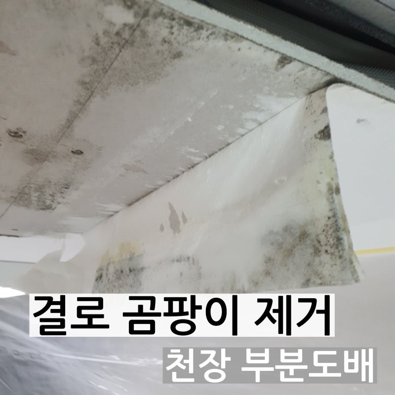 시스템에어컨 결로 곰팡이 제거｜약품처리와 곰팡이방지제 도포 후 천장 부분도배