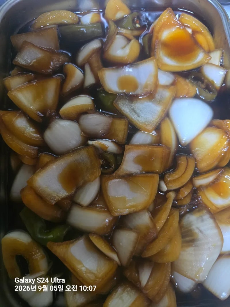 모든 장아찌 황금레시피 비율 양파장아찌 고추장아찌