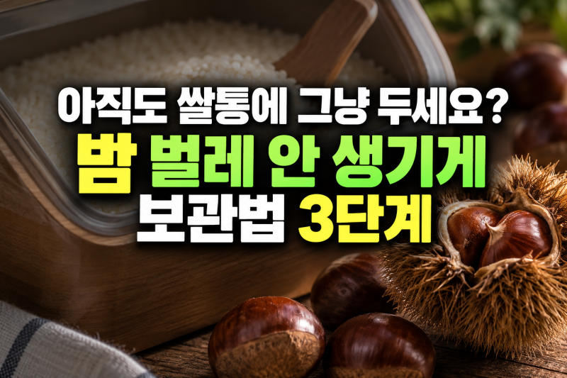 아직도 쌀통에 그냥 두세요? 밤 벌레 안 생기게 보관법 3단계 완벽 정리!