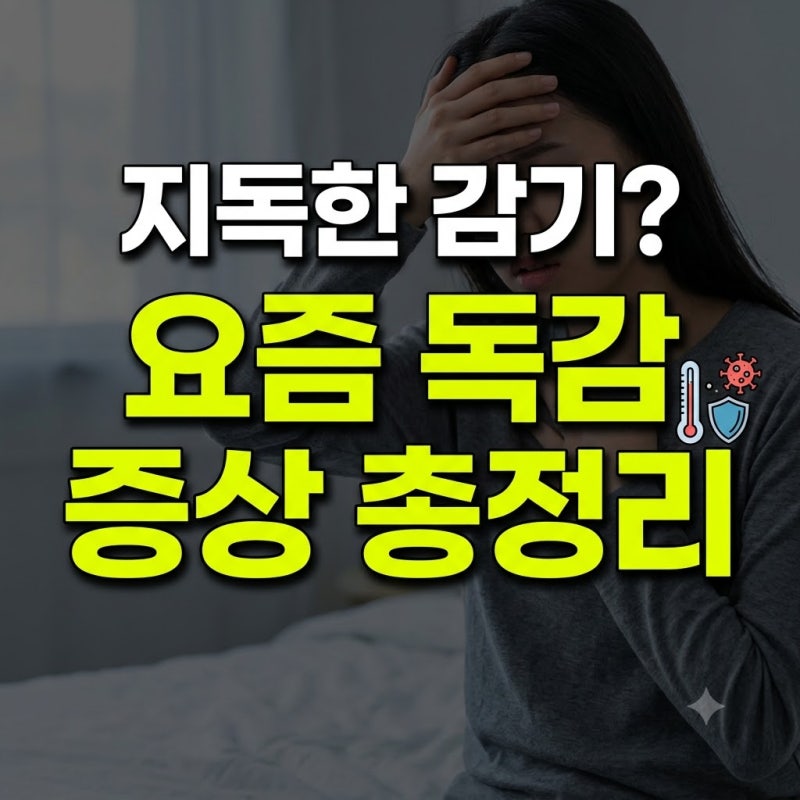 요즘 독감 증상 설사 A형 순서 기간 구토 눈 목아픔 총정리(+기침 아기 두통 유행 격리 잠복기....
