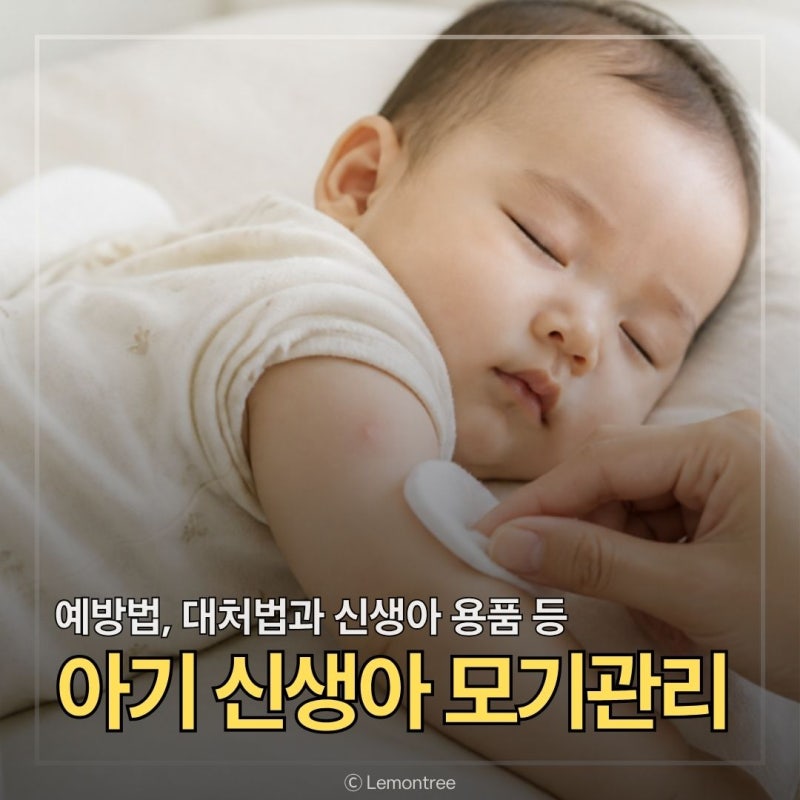 신생아 아기 모기 관리법, 예방 용품과 물렸을 때 안전한 대처방법