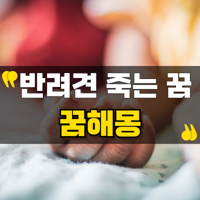 반려견이 죽는 꿈을 꾸었다면 꼭 확인하세요
