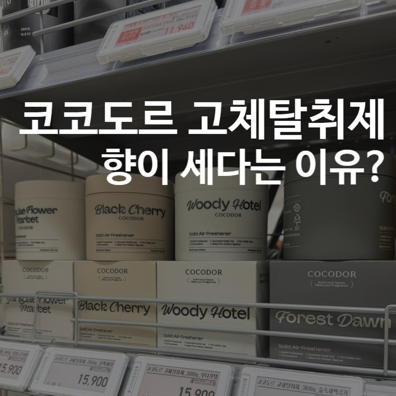 코코도르 고체탈취제｜4가지 향 다 맡아본 후기