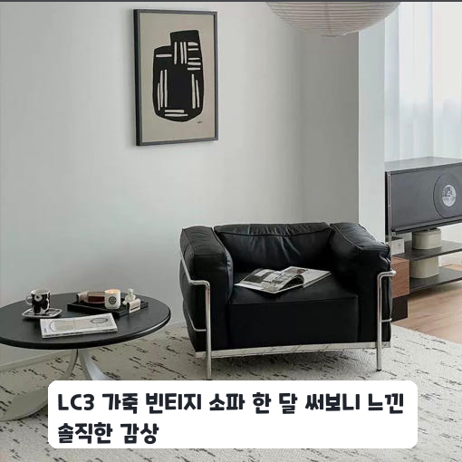 거실에 마련한 LC3 빈티지 소가죽 소파 삼 개월 사용 후기