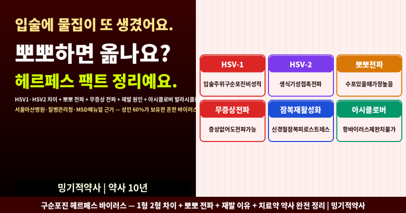 입술에 물집이 생겼는데 뽀뽀하면 옮아요?...헤르페스 팩트 정리예요