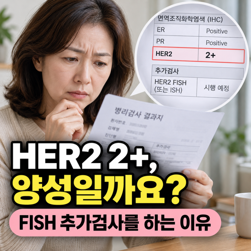 유방암 HER2 2+라면 양성일까? ‘허투 2플러스’ 뜻과 ISH·FISH 추가검사 쉽게 보기