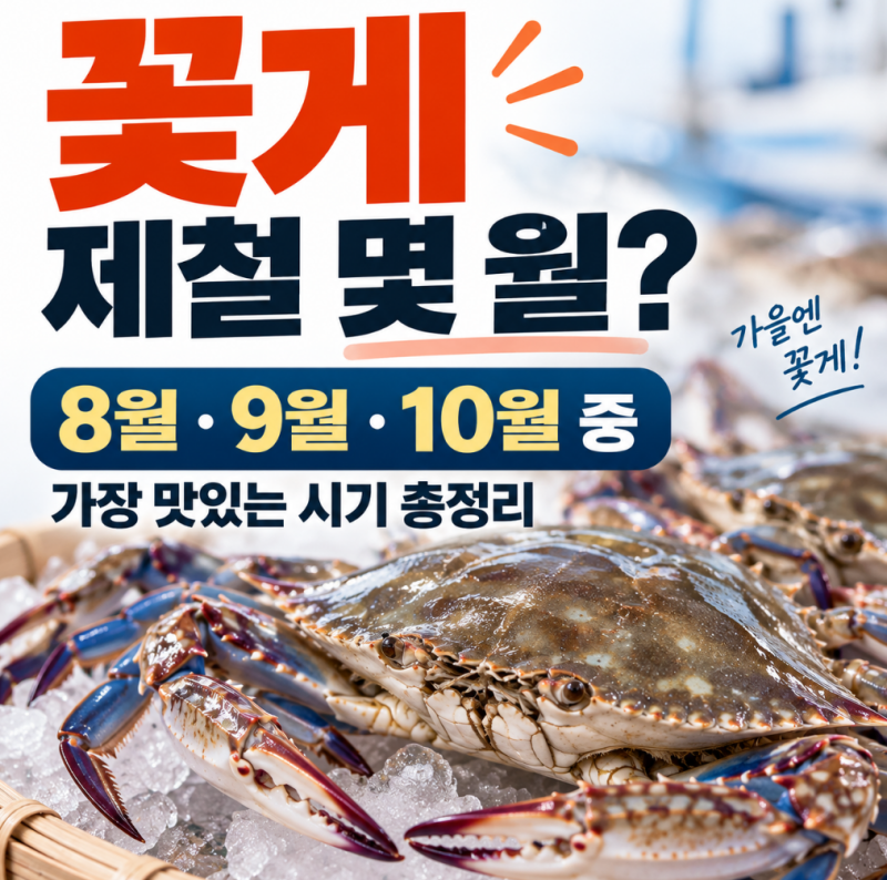 꽃게 제철 몇 월?｜8월·9월·10월 중 가장 맛있는 시기 총정리