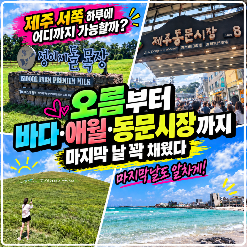 9월 제주 서쪽 여행 코스 이호테우 새별오름 협재 애월 동문시장 하루