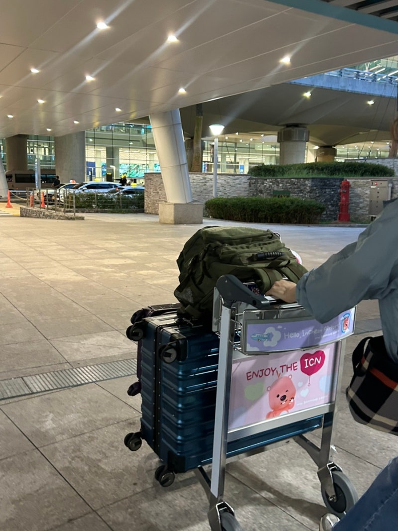 [중국 교환학생] 중티가득심천1상..
