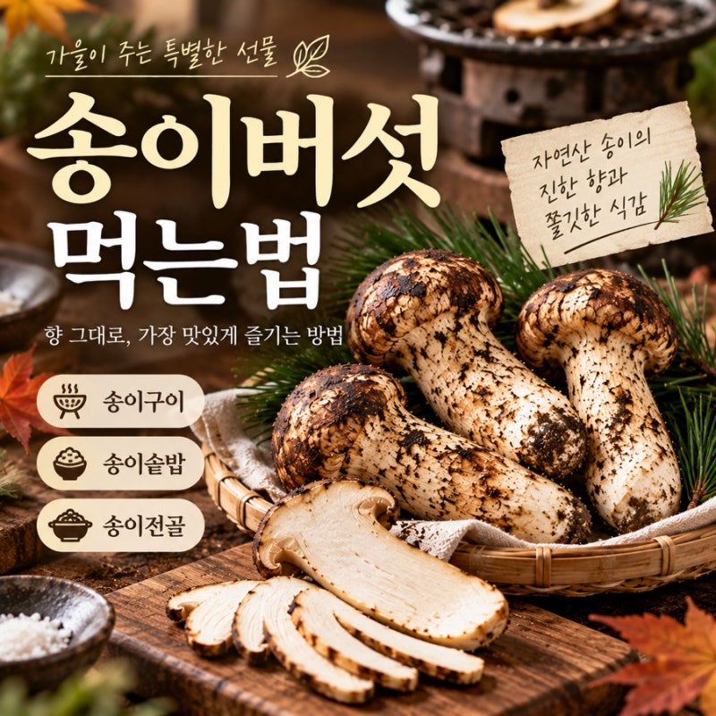 송이버섯먹는법 자연산 송이 손질부터 구이·보관법까지