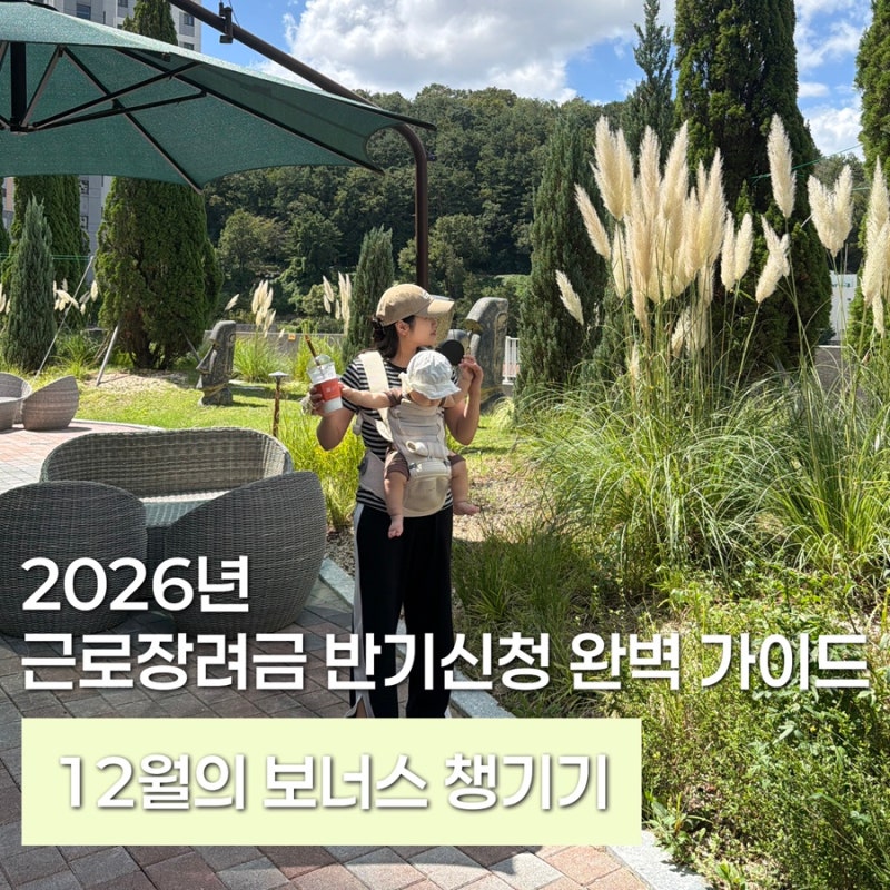 2026년 근로장려금 반기신청 완벽 가이드 : 12월의 보너스 챙기기