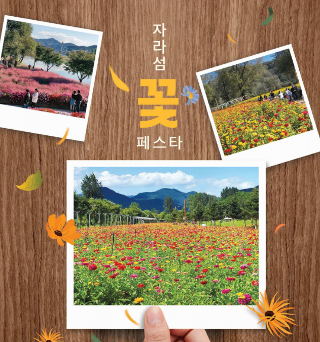 가평자라섬꽃축제 2026 예약 필요할까? 입장료와 주차 총정리