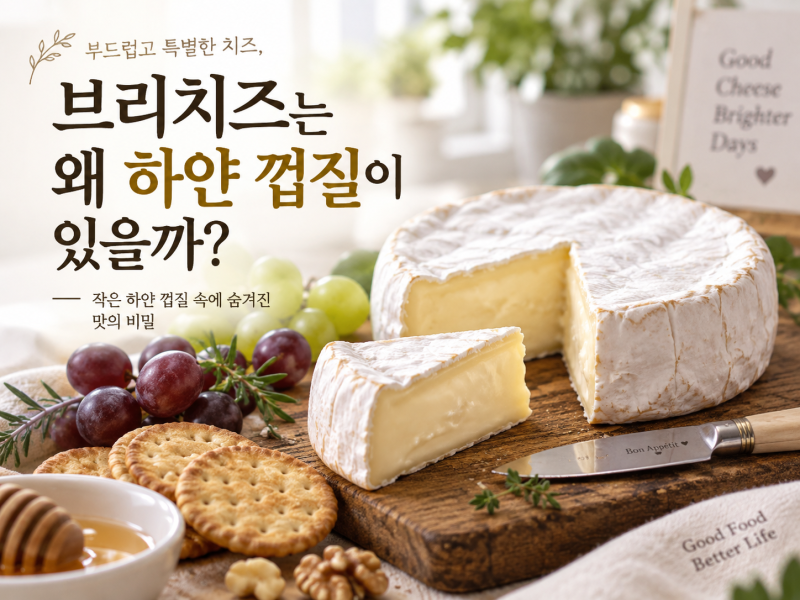 브리치즈는 왜 하얀 껍질이 있을까?