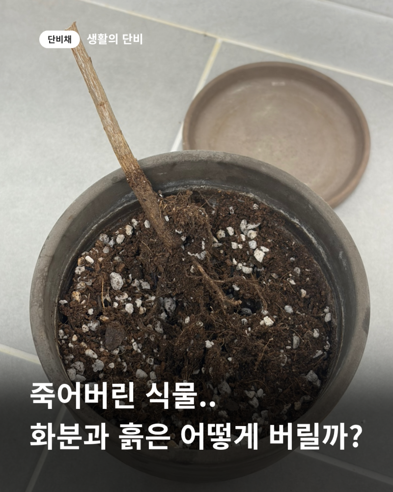 화분과 흙, 어떻게 버려야 할까? 화분 버리는 법, 흙 버리는 법 정리!