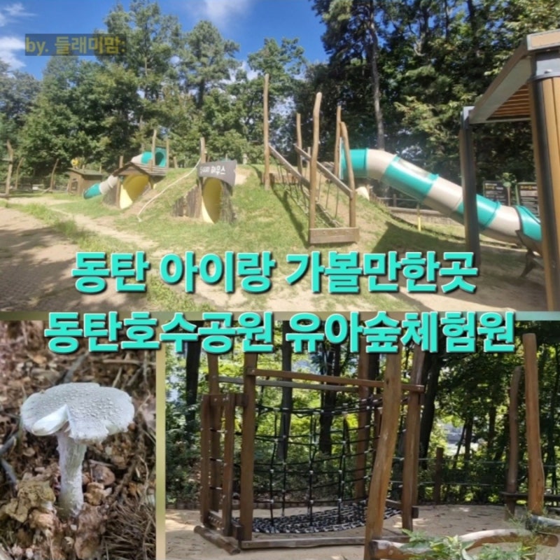 동탄 아이랑 가볼만한곳 동탄호수공원 모래놀이 가능한 유아숲체험원(주차, 꿀팁)