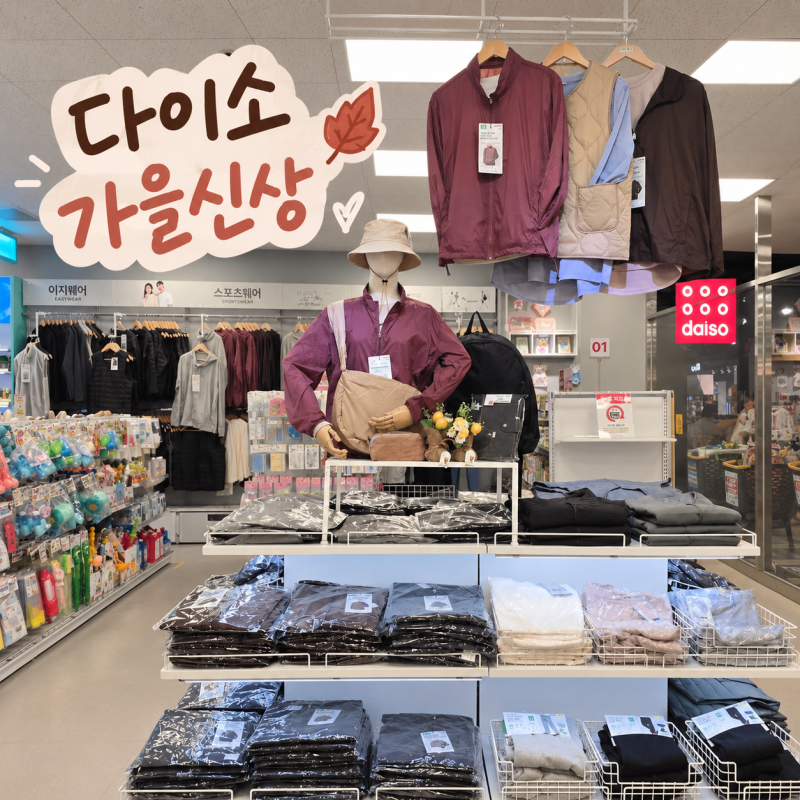 다이소 바람막이 5천원 실화? 패딩조끼·헤드까지 나온 가을 신상